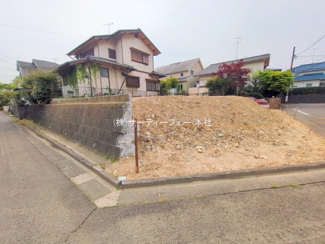 撮影日(2025-04-18 00:00:00)
