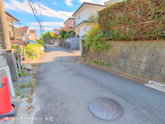撮影日(2024-11-19 00:00:00)