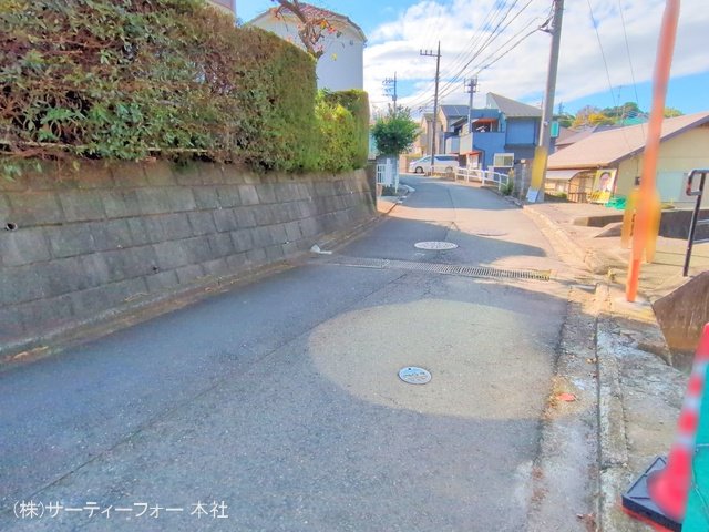撮影日(2024-11-19 00:00:00)