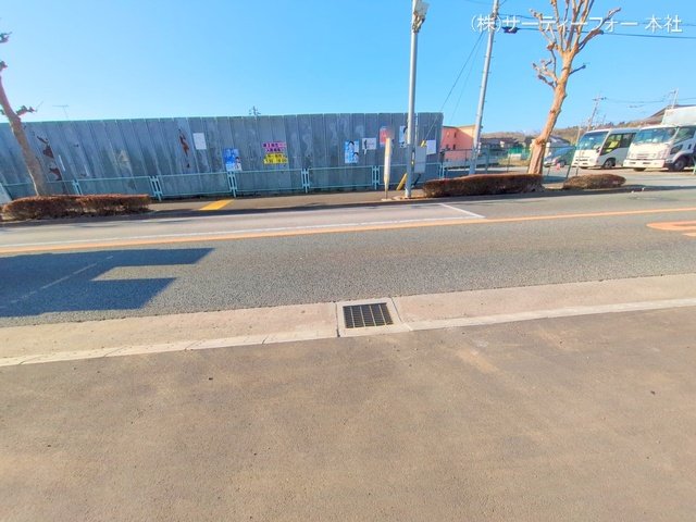 撮影日(2025-03-21 00:00:00)
