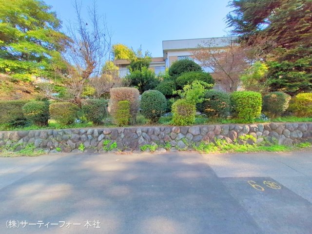 撮影日(2025-04-09 00:00:00)