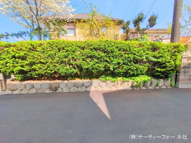 撮影日(2025-04-22 00:00:00)