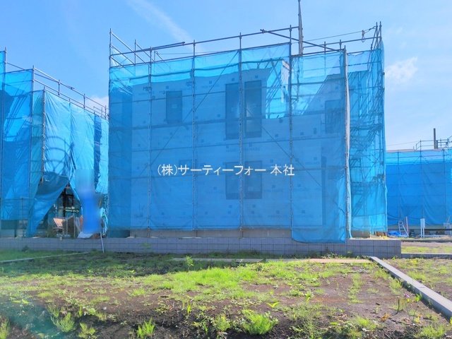 撮影日(2025-05-12 00:00:00)