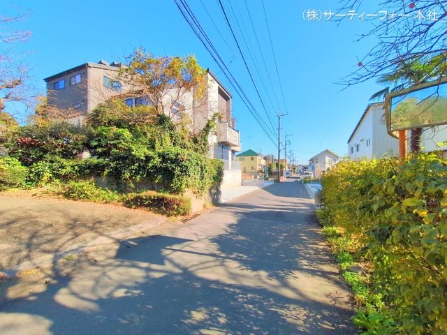 撮影日(2024-11-25 00:00:00)