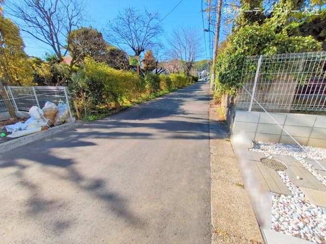 撮影日(2024-11-25 00:00:00)