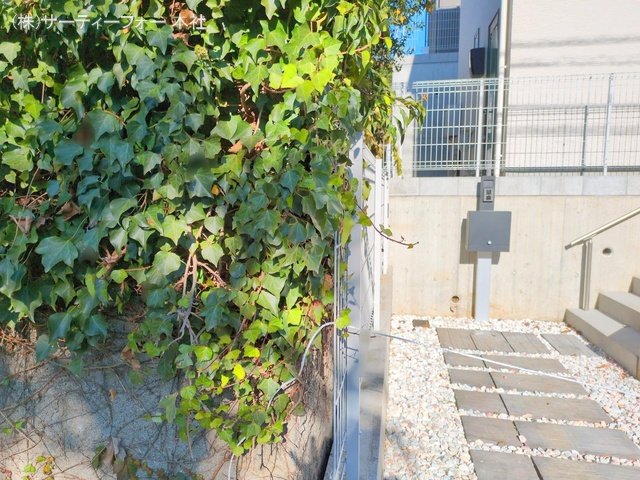 撮影日(2024-11-25 00:00:00)