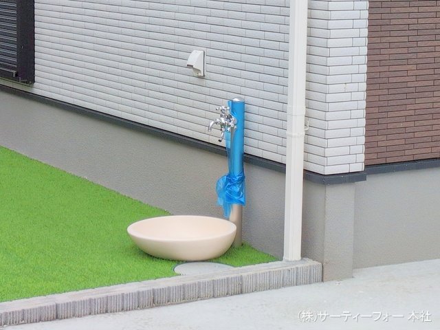 撮影日(2025-05-12 00:00:00)
