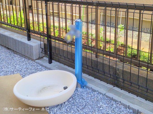 撮影日(2025-04-15 00:00:00)