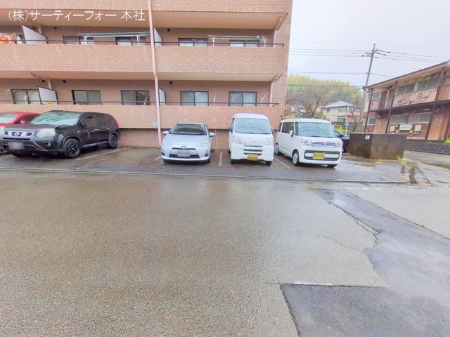 撮影日(2025-04-01 00:00:00)