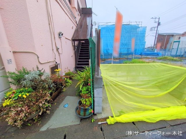 撮影日(2024-11-15 00:00:00)