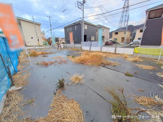 撮影日(2024-12-19 00:00:00)