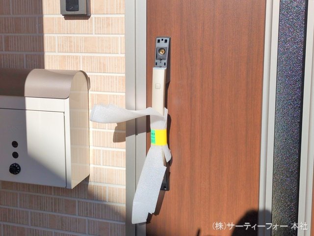 撮影日(2025-02-10 00:00:00)
