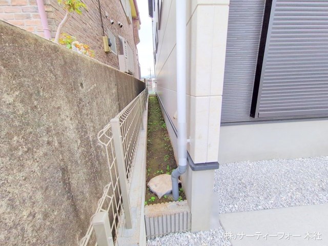 撮影日(2024-11-26 00:00:00)