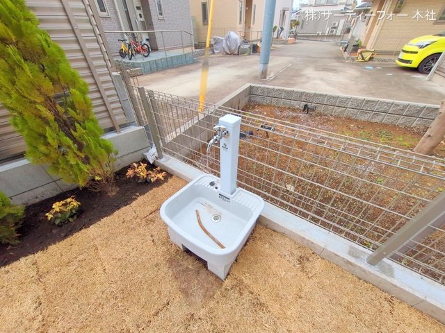 撮影日(2025-03-24 00:00:00)