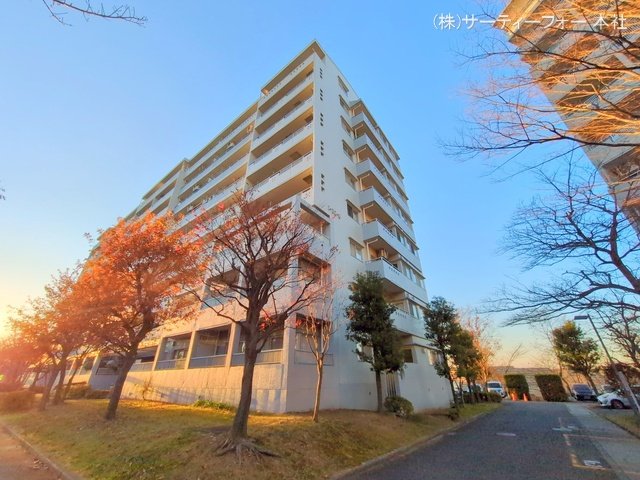 撮影日(2024-12-16 00:00:00)