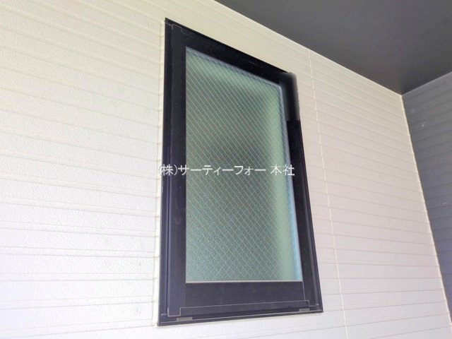 撮影日(2025-06-12 00:00:00)