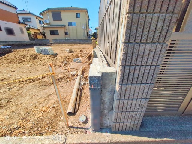 撮影日(2025-03-10 00:00:00)