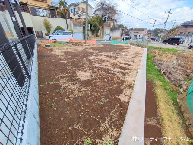 撮影日(2025-03-17 00:00:00)