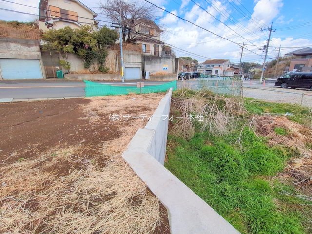 撮影日(2025-03-17 00:00:00)