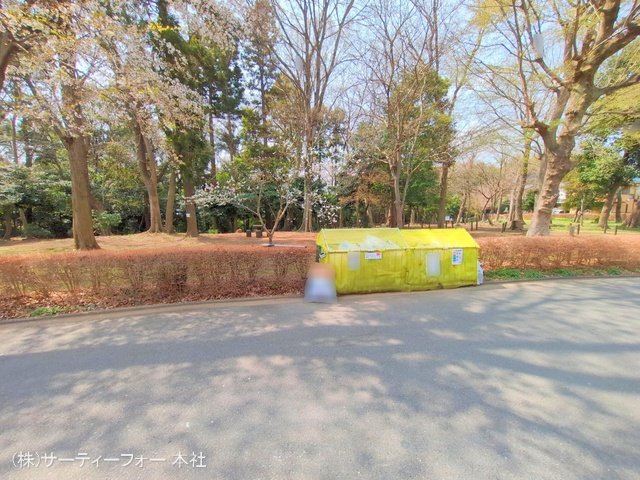 撮影日(2025-03-27 00:00:00)