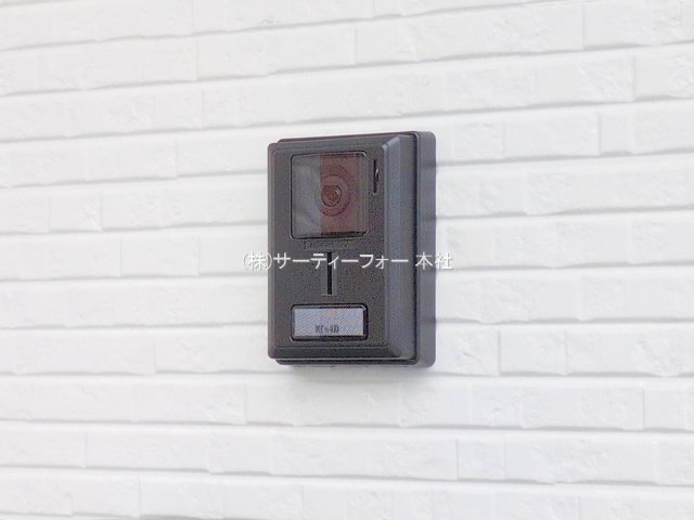 撮影日(2025-06-11 00:00:00)