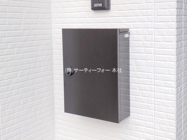 撮影日(2025-06-11 00:00:00)