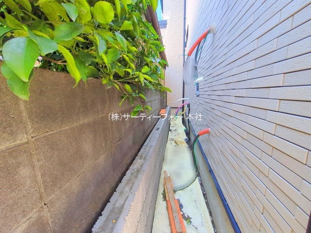 撮影日(2025-06-05 00:00:00)