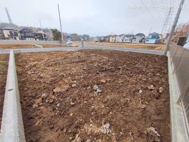 撮影日(2025-03-12 00:00:00)