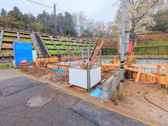 撮影日(2025-04-03 00:00:00)