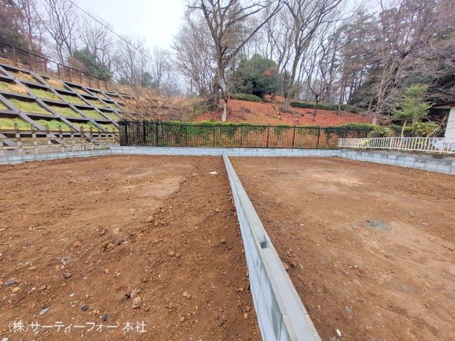 撮影日(2025-03-12 00:00:00)