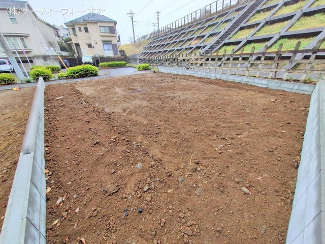撮影日(2025-03-12 00:00:00)