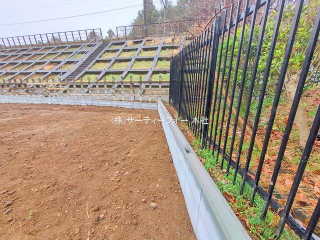 撮影日(2025-03-12 00:00:00)