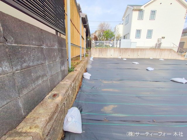 撮影日(2025-03-31 00:00:00)