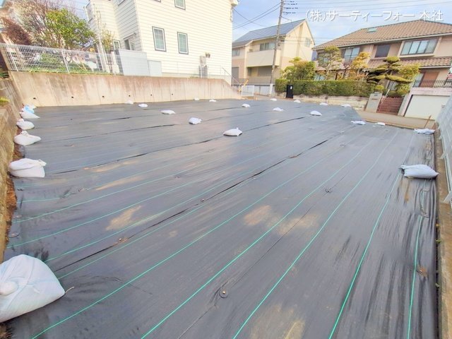 撮影日(2025-03-31 00:00:00)