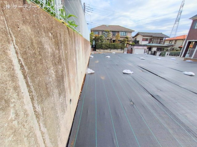 撮影日(2025-03-31 00:00:00)