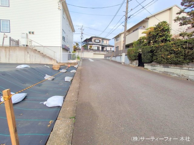 撮影日(2025-03-31 00:00:00)