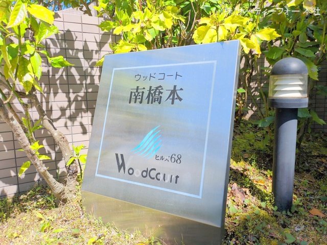 撮影日(2025-04-15 00:00:00)
