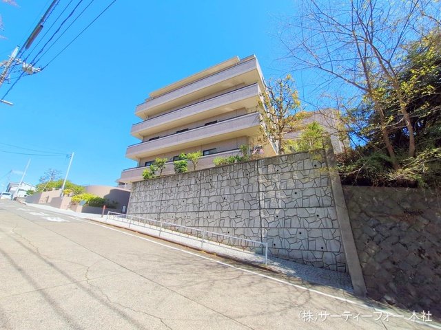 撮影日(2025-04-15 00:00:00)