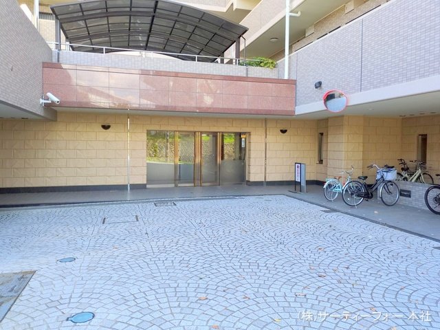 撮影日(2025-04-15 00:00:00)