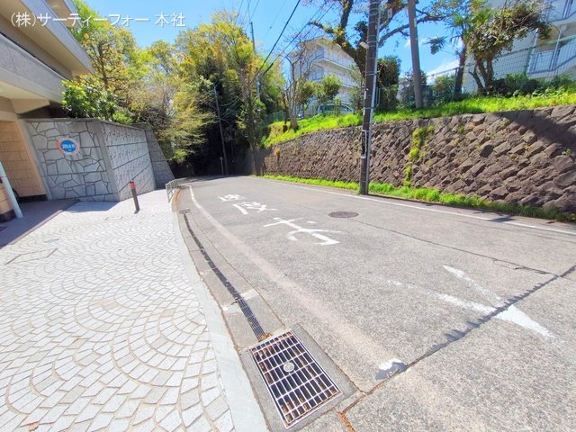 撮影日(2025-04-15 00:00:00)
