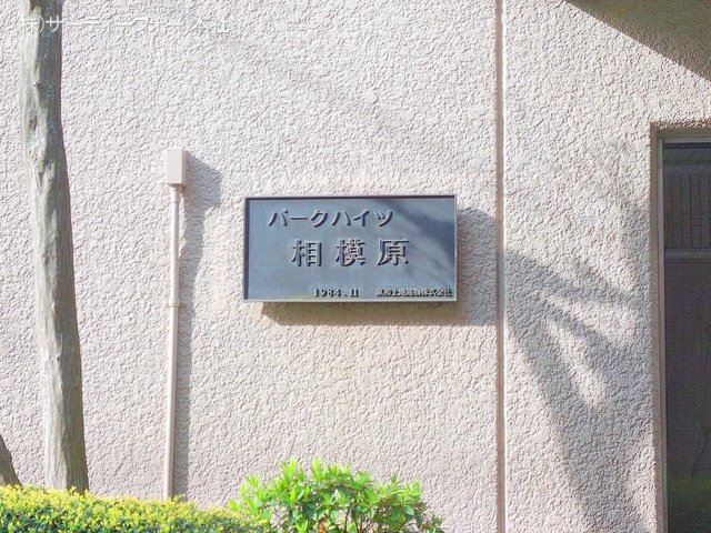 撮影日(2025-04-17 00:00:00)