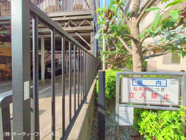 撮影日(2025-04-17 00:00:00)