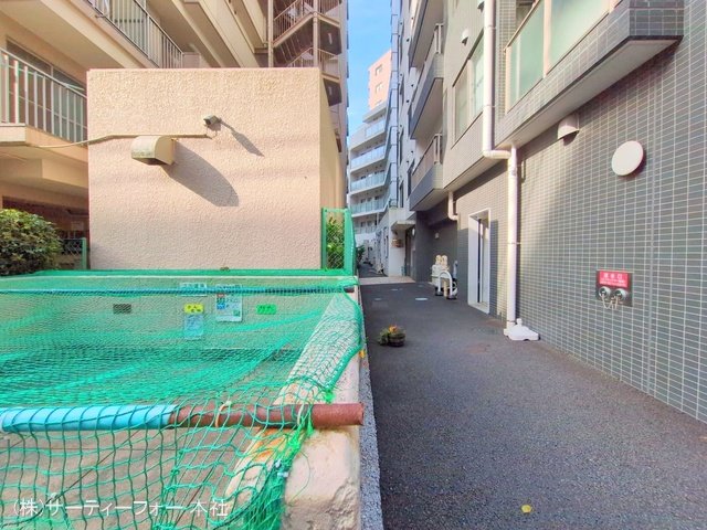 撮影日(2025-04-17 00:00:00)