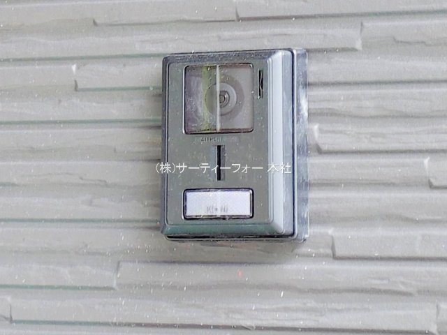 撮影日(2025-05-29 00:00:00)