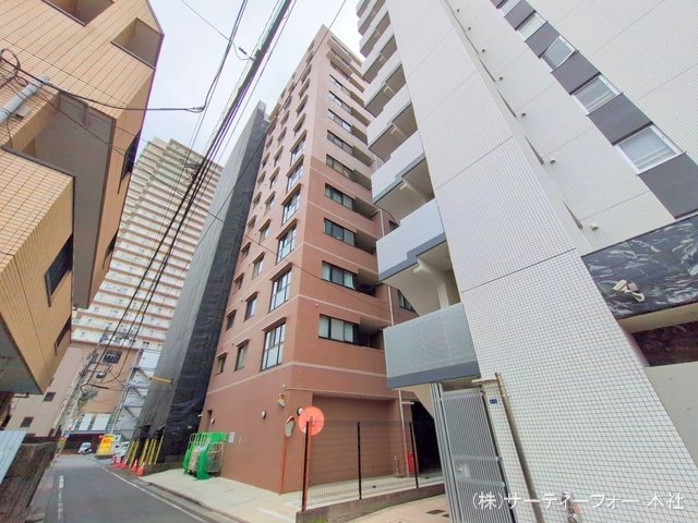 撮影日(2025-04-25 00:00:00)