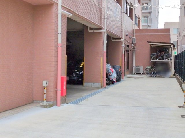 撮影日(2025-04-25 00:00:00)