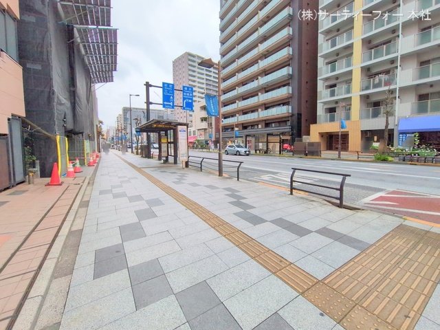 撮影日(2025-04-25 00:00:00)