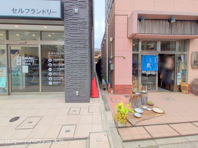 撮影日(2025-04-25 00:00:00)