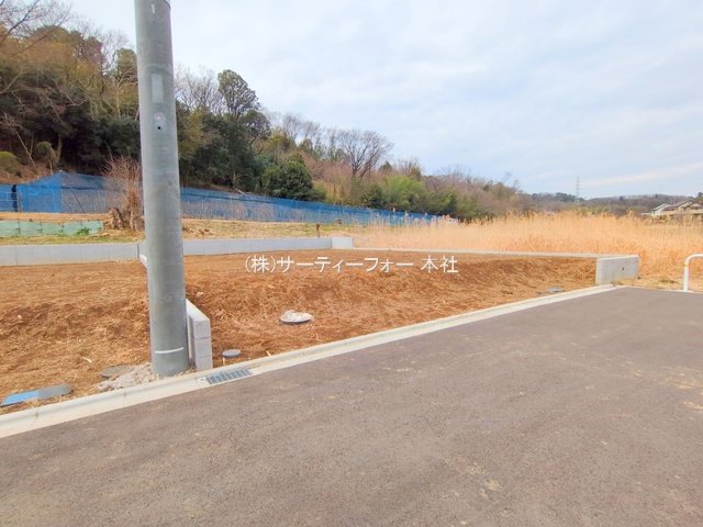 撮影日(2025-03-11 00:00:00)