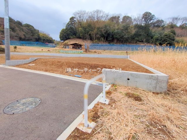 撮影日(2025-03-11 00:00:00)